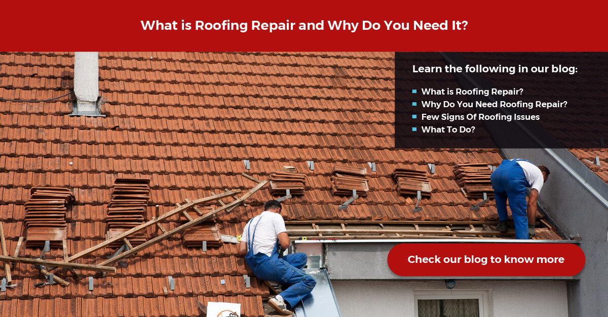 Roofing Hamilton